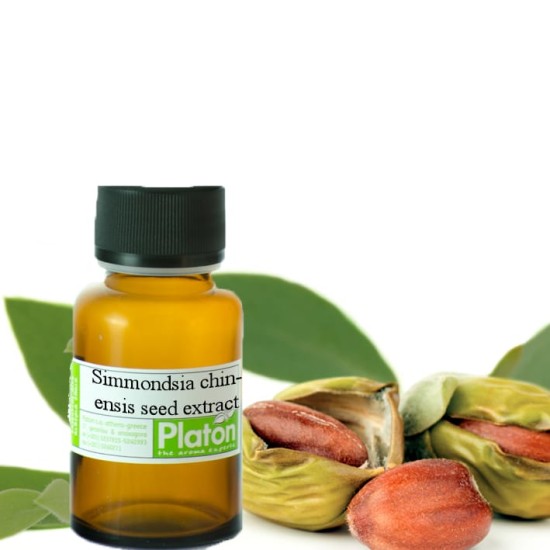 Χοχόμπα (τζοτζόμπα) εκχύλισμα